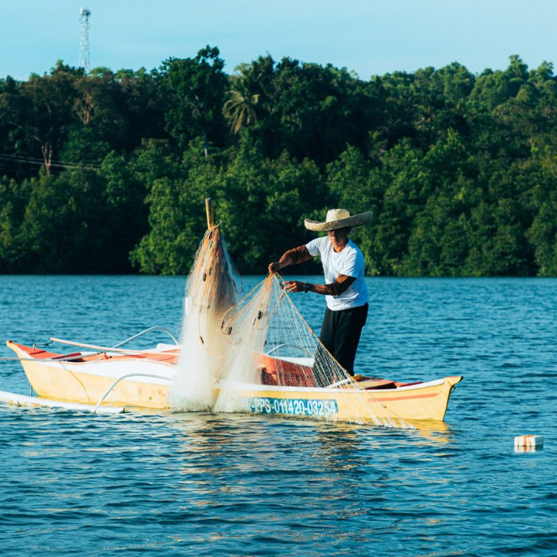 Your trusted supplier of frozen seafood